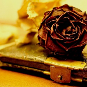 Still life rose and mother's poetry album - Photo by Jens Schommer